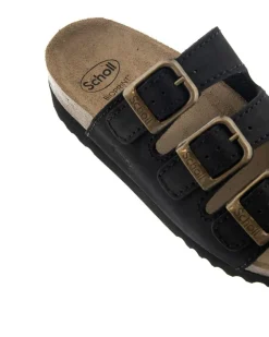 Scholl Rio WG AD